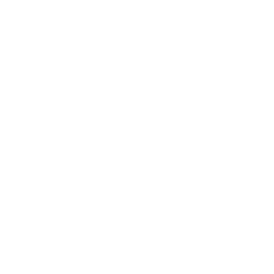 Reason Consulting